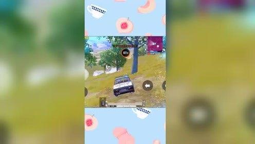 国产在线私人小视频,揭秘国产在线私人小视频的隐秘世界