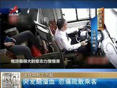 国产乘客影评在线观看视频