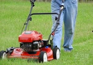 国产割草机对比图片视频