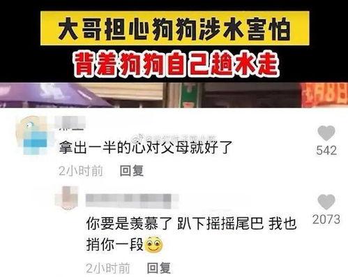 让女朋友看国产车视频,与女友共赏国产汽车的魅力瞬间